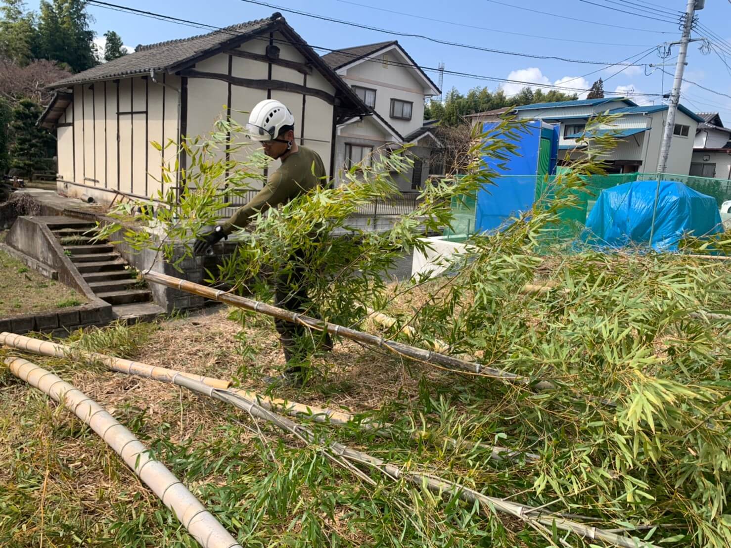 急斜面や道路際にある傾いた竹も問題なく伐採致します。